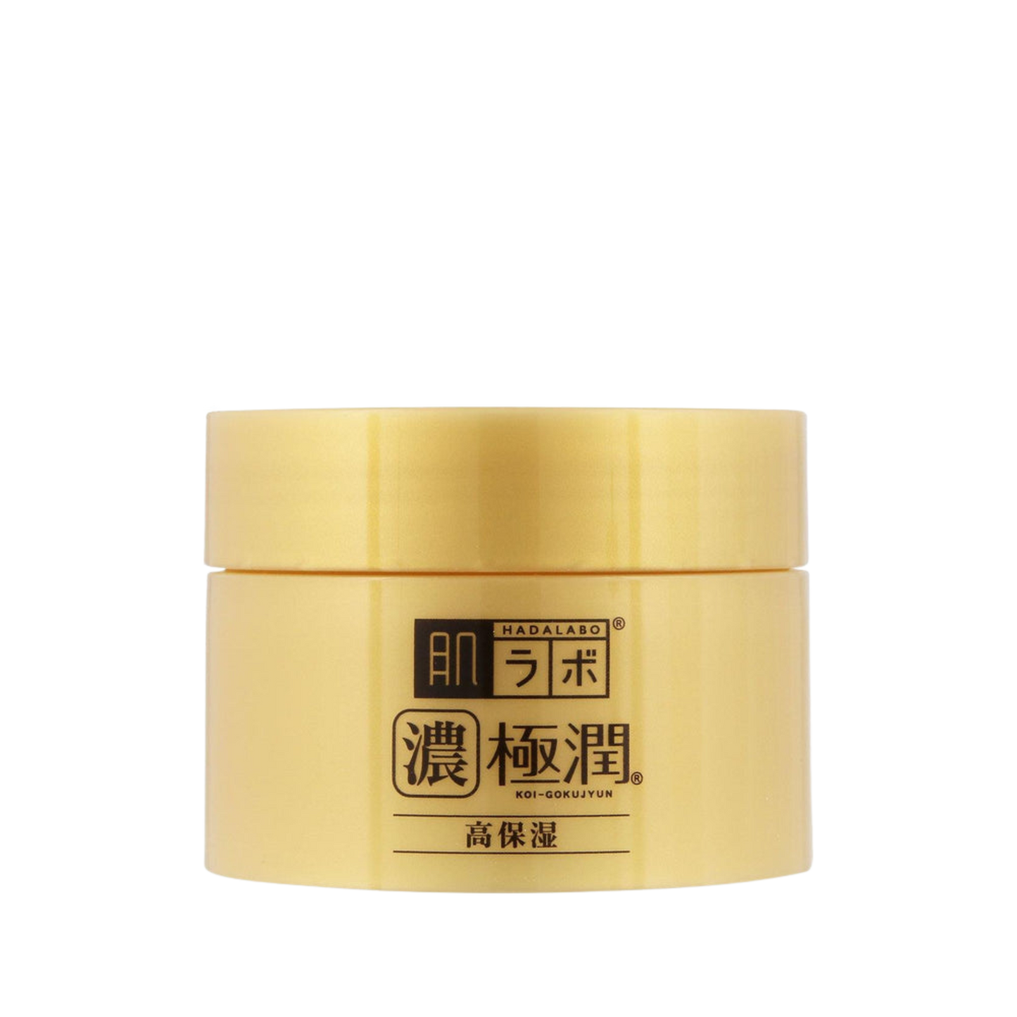 Hada Labo Gokujyun All in One Perfect Gel Moisturizer 100g